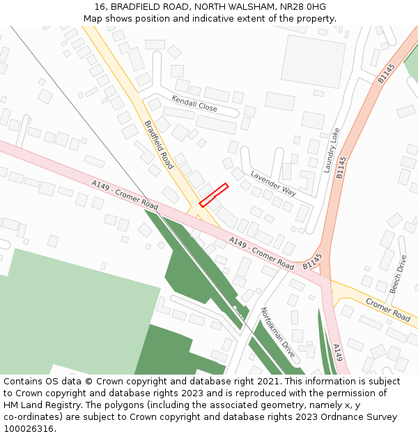 16, BRADFIELD ROAD, NORTH WALSHAM, NR28 0HG: Location map and indicative extent of plot