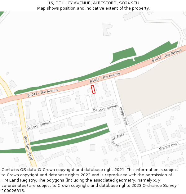 16, DE LUCY AVENUE, ALRESFORD, SO24 9EU: Location map and indicative extent of plot