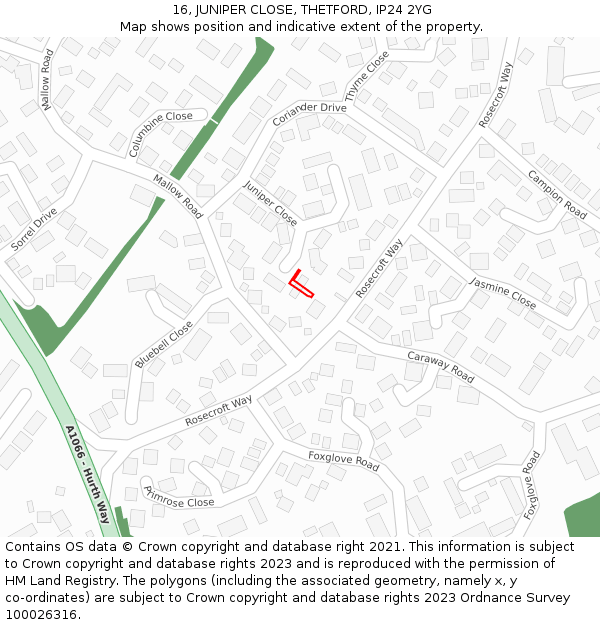 16, JUNIPER CLOSE, THETFORD, IP24 2YG: Location map and indicative extent of plot