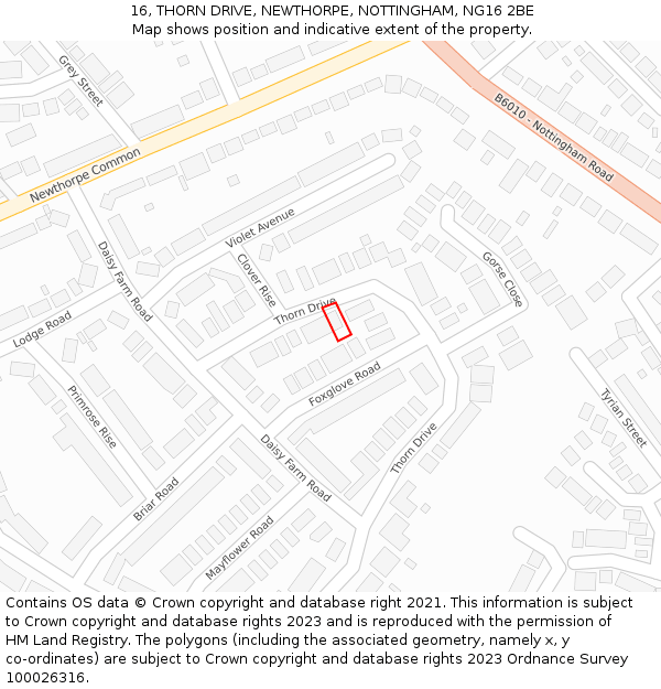 16, THORN DRIVE, NEWTHORPE, NOTTINGHAM, NG16 2BE: Location map and indicative extent of plot