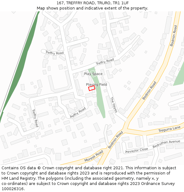 167, TREFFRY ROAD, TRURO, TR1 1UF: Location map and indicative extent of plot
