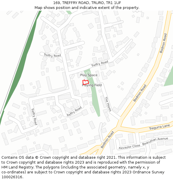 169, TREFFRY ROAD, TRURO, TR1 1UF: Location map and indicative extent of plot