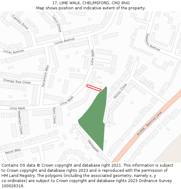 17, LIME WALK, CHELMSFORD, CM2 9NG: Location map and indicative extent of plot