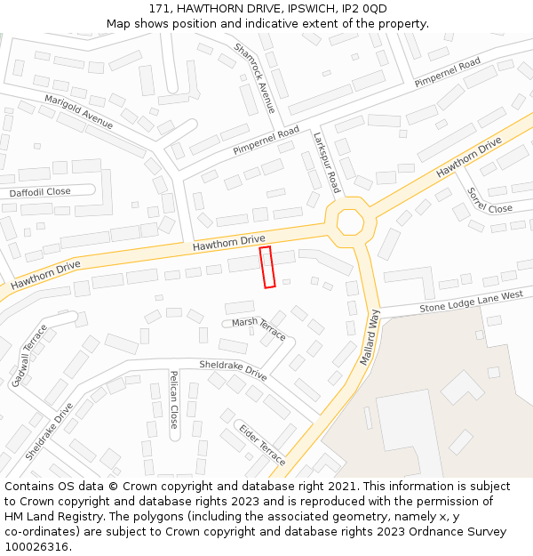 171, HAWTHORN DRIVE, IPSWICH, IP2 0QD: Location map and indicative extent of plot