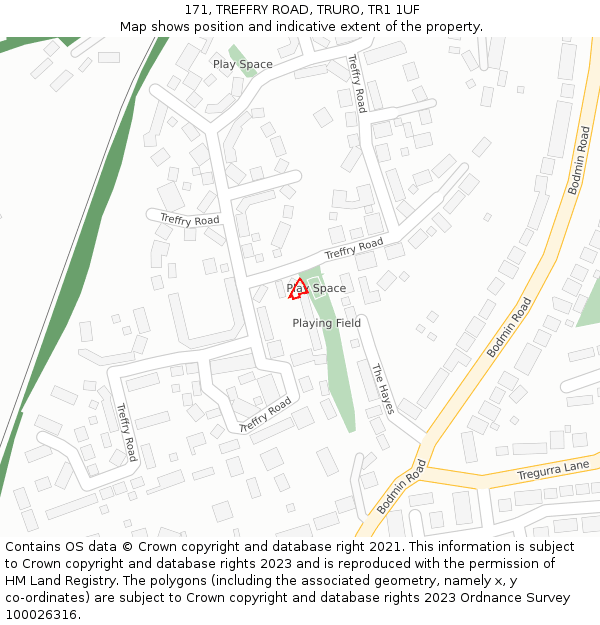 171, TREFFRY ROAD, TRURO, TR1 1UF: Location map and indicative extent of plot