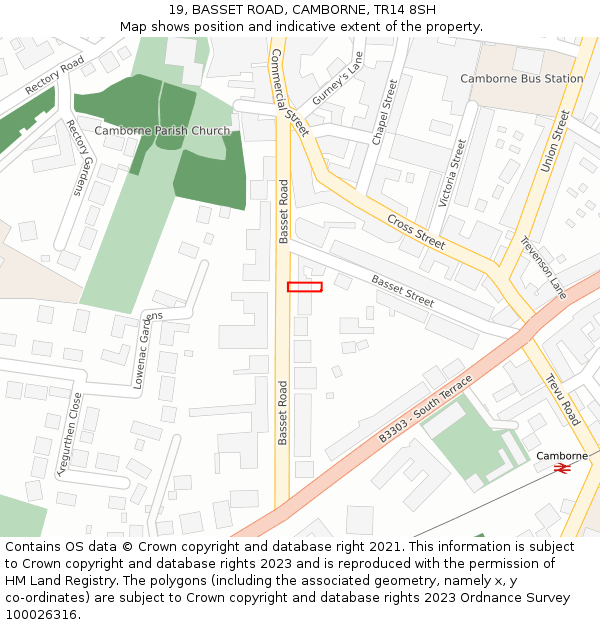 19, BASSET ROAD, CAMBORNE, TR14 8SH: Location map and indicative extent of plot