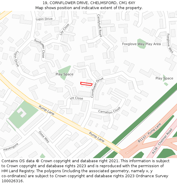19, CORNFLOWER DRIVE, CHELMSFORD, CM1 6XY: Location map and indicative extent of plot
