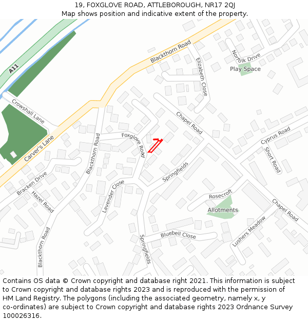 19, FOXGLOVE ROAD, ATTLEBOROUGH, NR17 2QJ: Location map and indicative extent of plot