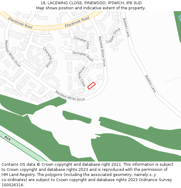 19, LACEWING CLOSE, PINEWOOD, IPSWICH, IP8 3UD: Location map and indicative extent of plot