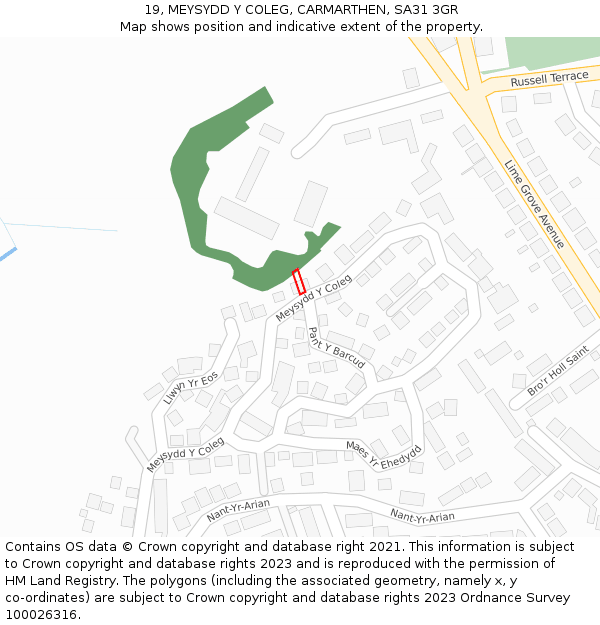 19, MEYSYDD Y COLEG, CARMARTHEN, SA31 3GR: Location map and indicative extent of plot