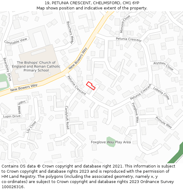 19, PETUNIA CRESCENT, CHELMSFORD, CM1 6YP: Location map and indicative extent of plot