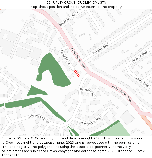 19, RIPLEY GROVE, DUDLEY, DY1 3TA: Location map and indicative extent of plot