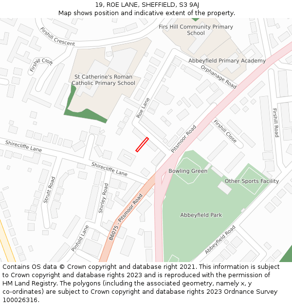 19, ROE LANE, SHEFFIELD, S3 9AJ: Location map and indicative extent of plot