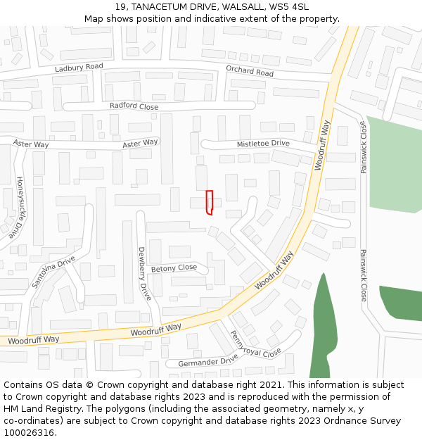19, TANACETUM DRIVE, WALSALL, WS5 4SL: Location map and indicative extent of plot