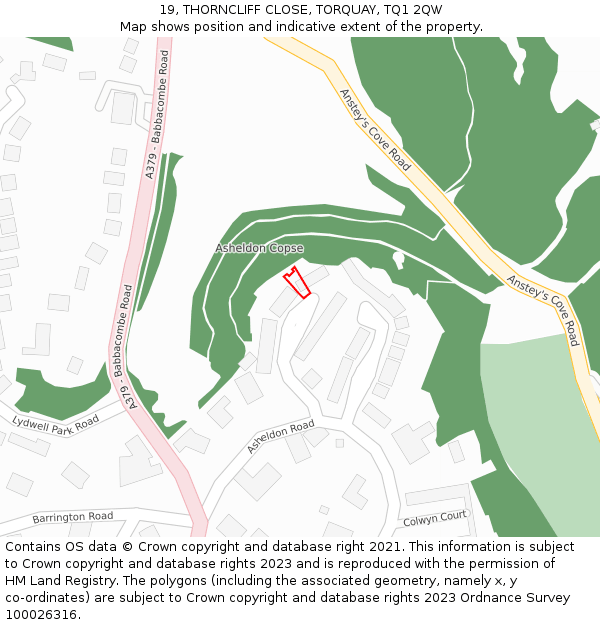 19, THORNCLIFF CLOSE, TORQUAY, TQ1 2QW: Location map and indicative extent of plot