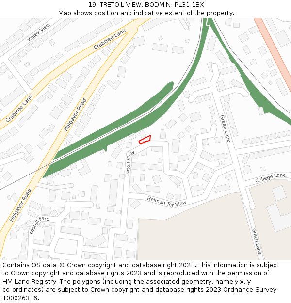19, TRETOIL VIEW, BODMIN, PL31 1BX: Location map and indicative extent of plot