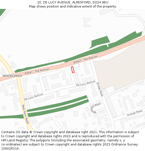 20, DE LUCY AVENUE, ALRESFORD, SO24 9EU: Location map and indicative extent of plot