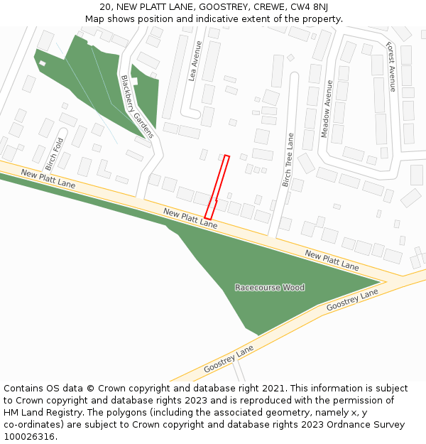 20, NEW PLATT LANE, GOOSTREY, CREWE, CW4 8NJ: Location map and indicative extent of plot