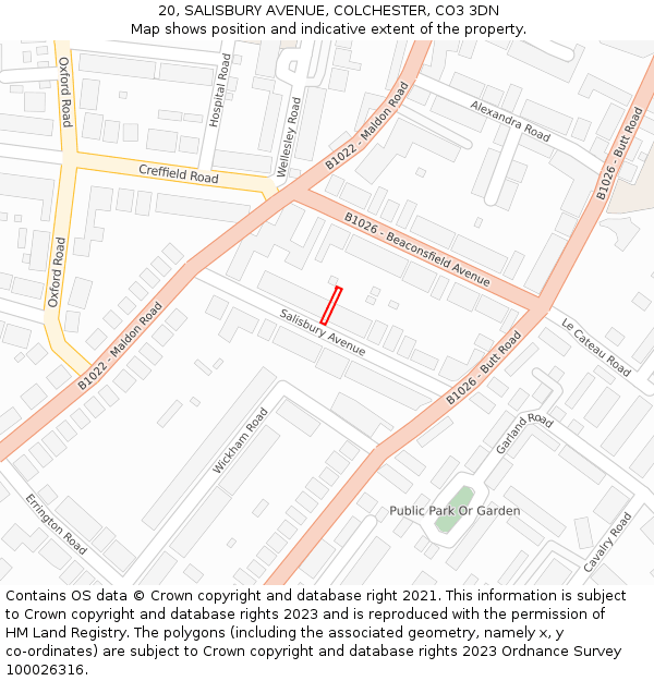 20, SALISBURY AVENUE, COLCHESTER, CO3 3DN: Location map and indicative extent of plot