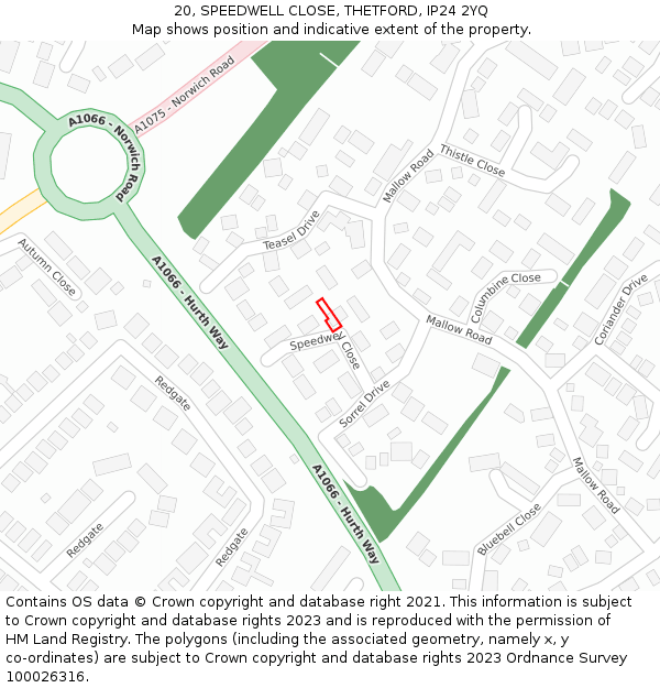 20, SPEEDWELL CLOSE, THETFORD, IP24 2YQ: Location map and indicative extent of plot
