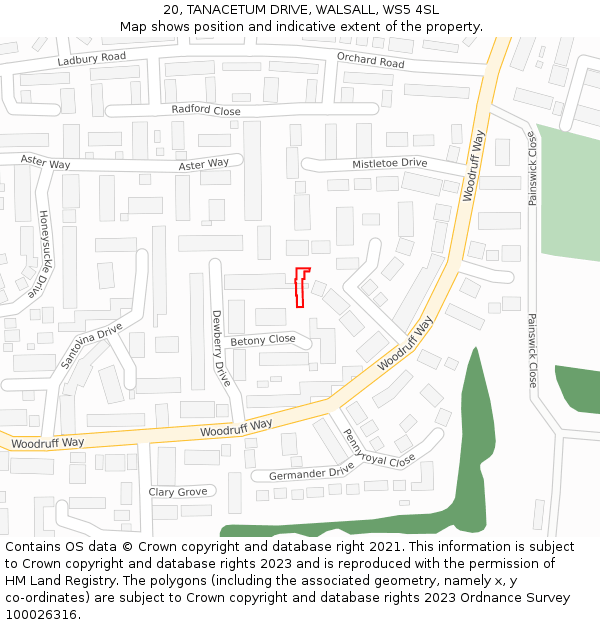 20, TANACETUM DRIVE, WALSALL, WS5 4SL: Location map and indicative extent of plot