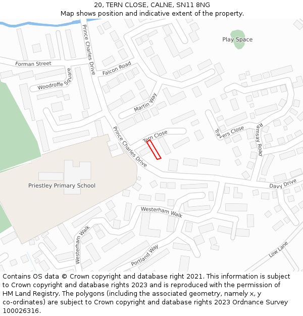20, TERN CLOSE, CALNE, SN11 8NG: Location map and indicative extent of plot