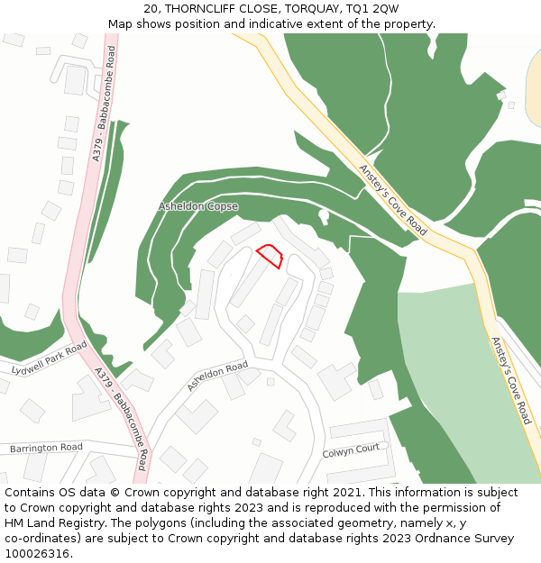 20, THORNCLIFF CLOSE, TORQUAY, TQ1 2QW: Location map and indicative extent of plot