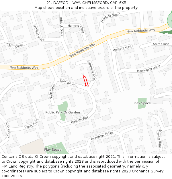 21, DAFFODIL WAY, CHELMSFORD, CM1 6XB: Location map and indicative extent of plot