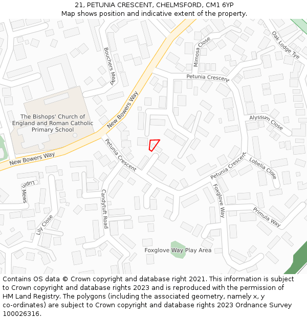 21, PETUNIA CRESCENT, CHELMSFORD, CM1 6YP: Location map and indicative extent of plot
