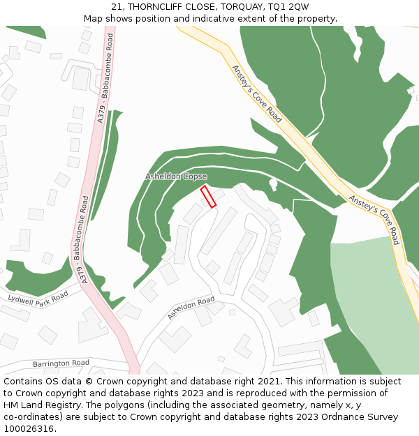 21, THORNCLIFF CLOSE, TORQUAY, TQ1 2QW: Location map and indicative extent of plot