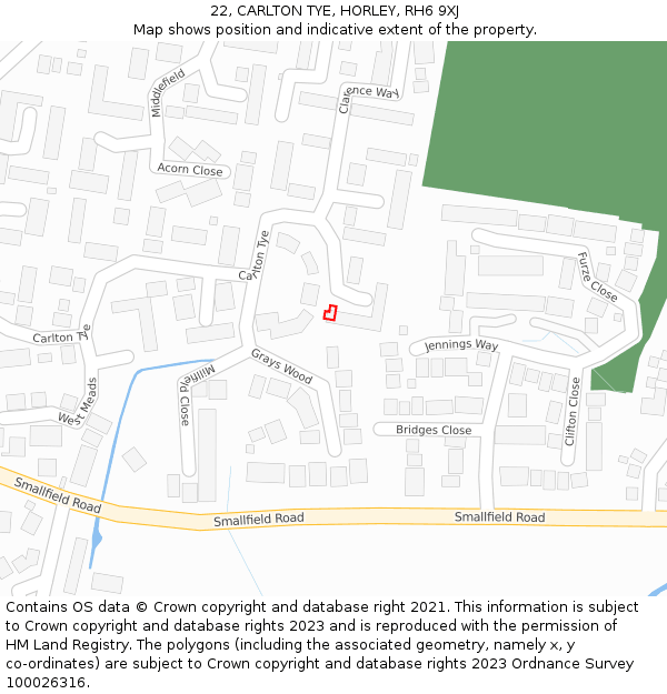 22, CARLTON TYE, HORLEY, RH6 9XJ: Location map and indicative extent of plot