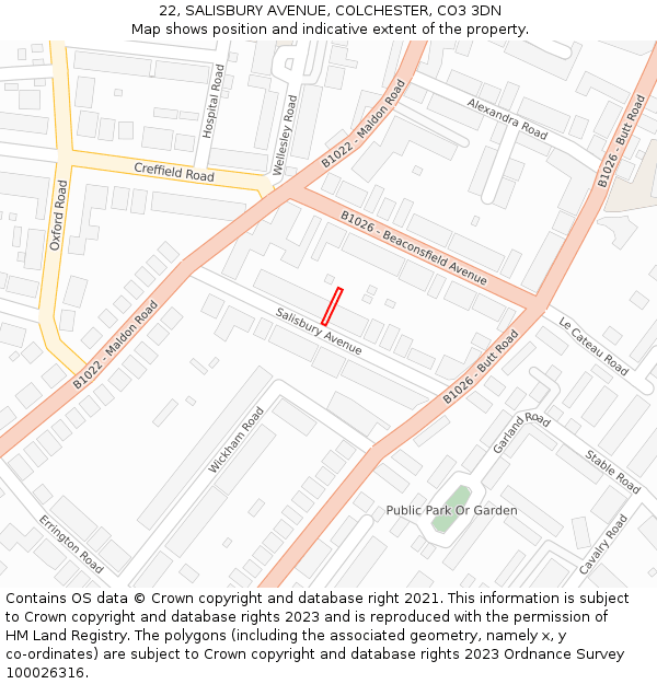 22, SALISBURY AVENUE, COLCHESTER, CO3 3DN: Location map and indicative extent of plot