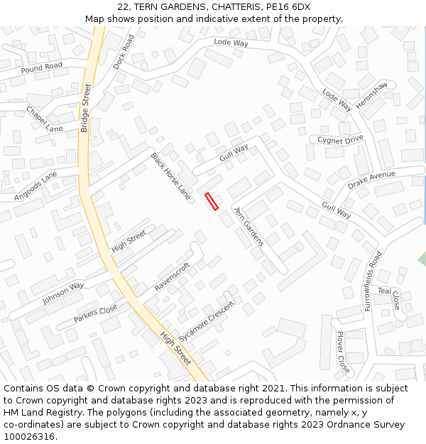 22, TERN GARDENS, CHATTERIS, PE16 6DX: Location map and indicative extent of plot