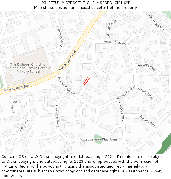 23, PETUNIA CRESCENT, CHELMSFORD, CM1 6YP: Location map and indicative extent of plot