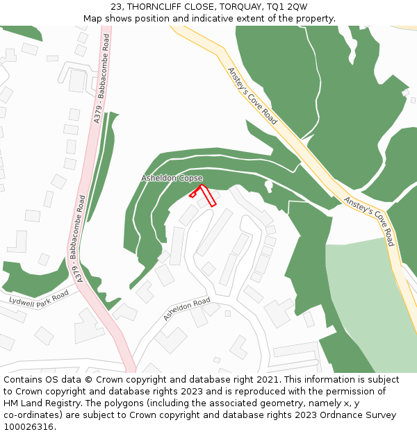 23, THORNCLIFF CLOSE, TORQUAY, TQ1 2QW: Location map and indicative extent of plot