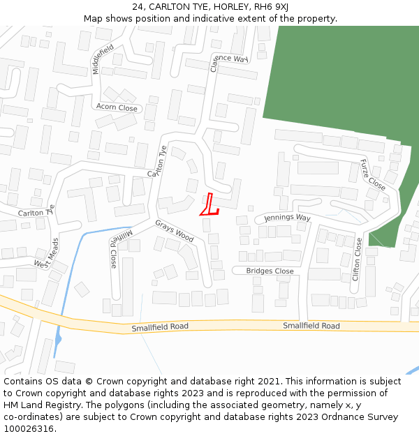24, CARLTON TYE, HORLEY, RH6 9XJ: Location map and indicative extent of plot