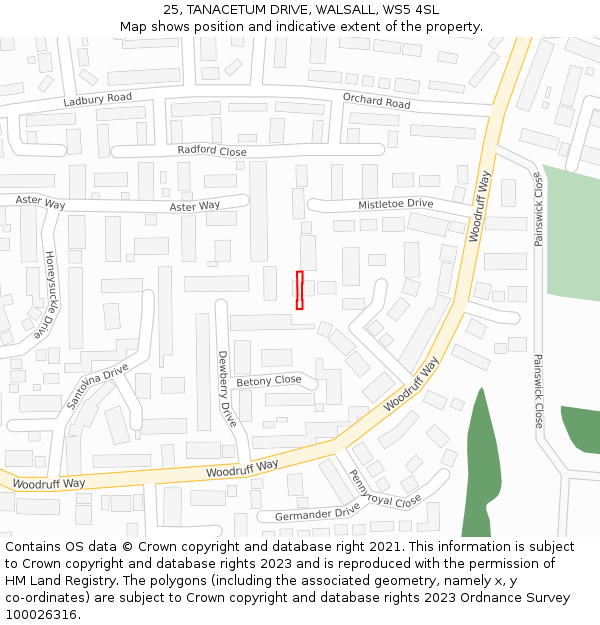 25, TANACETUM DRIVE, WALSALL, WS5 4SL: Location map and indicative extent of plot
