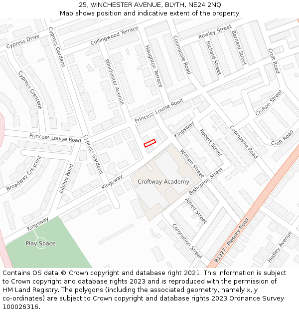 25, WINCHESTER AVENUE, BLYTH, NE24 2NQ: Location map and indicative extent of plot