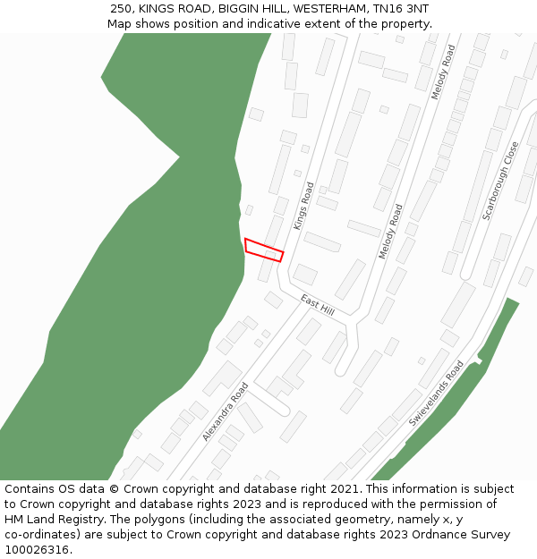 250, KINGS ROAD, BIGGIN HILL, WESTERHAM, TN16 3NT: Location map and indicative extent of plot