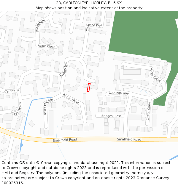28, CARLTON TYE, HORLEY, RH6 9XJ: Location map and indicative extent of plot