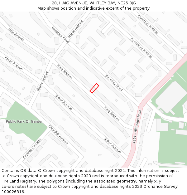 28, HAIG AVENUE, WHITLEY BAY, NE25 8JG: Location map and indicative extent of plot