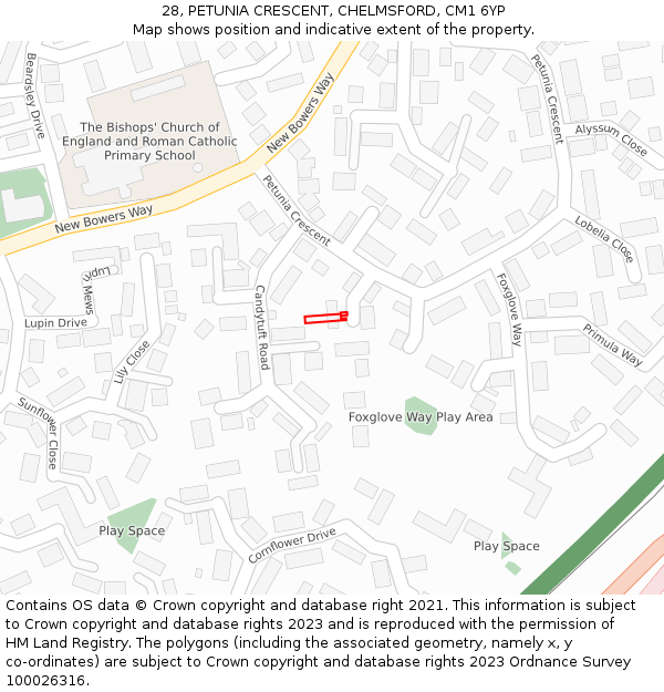 28, PETUNIA CRESCENT, CHELMSFORD, CM1 6YP: Location map and indicative extent of plot