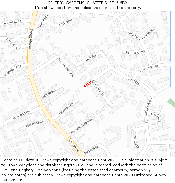 28, TERN GARDENS, CHATTERIS, PE16 6DX: Location map and indicative extent of plot