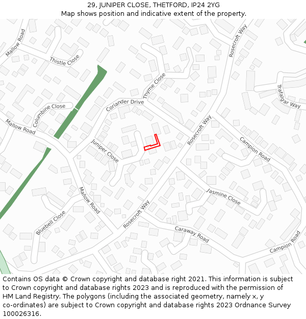 29, JUNIPER CLOSE, THETFORD, IP24 2YG: Location map and indicative extent of plot