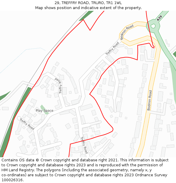 29, TREFFRY ROAD, TRURO, TR1 1WL: Location map and indicative extent of plot