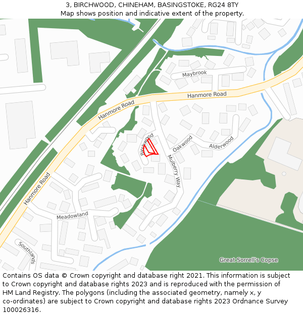 3, BIRCHWOOD, CHINEHAM, BASINGSTOKE, RG24 8TY: Location map and indicative extent of plot