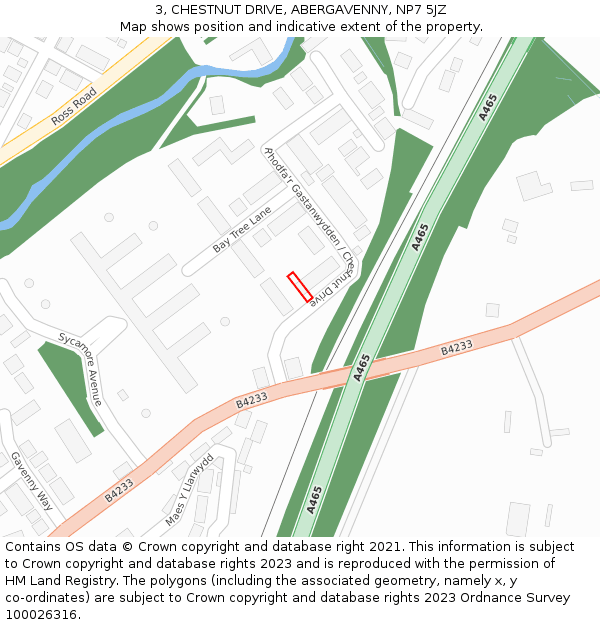 3, CHESTNUT DRIVE, ABERGAVENNY, NP7 5JZ: Location map and indicative extent of plot