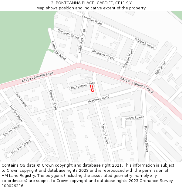 3, PONTCANNA PLACE, CARDIFF, CF11 9JY: Location map and indicative extent of plot