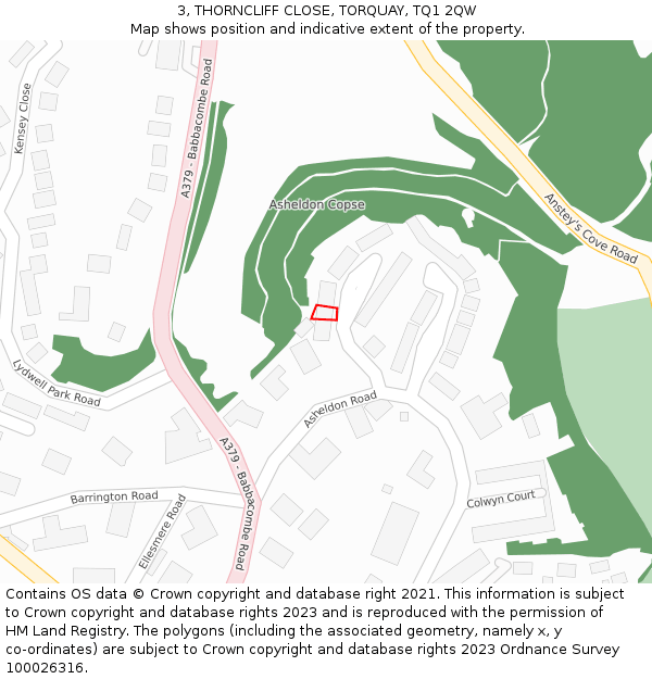 3, THORNCLIFF CLOSE, TORQUAY, TQ1 2QW: Location map and indicative extent of plot