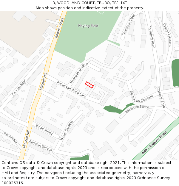 3, WOODLAND COURT, TRURO, TR1 1XT: Location map and indicative extent of plot